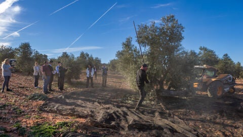La DOP Montes de Toledo culmina con &eacute;xito el 2023 