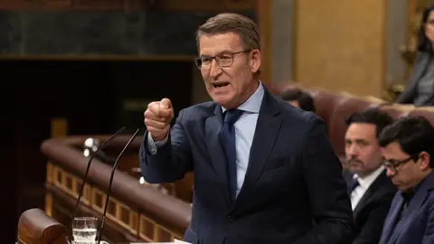 El presidente del PP, Alberto Núñez Feijóo, interviene durante una sesión plenaria. El presidente del PP, Alberto Núñez Feijóo, interviene durante una sesión plenaria.