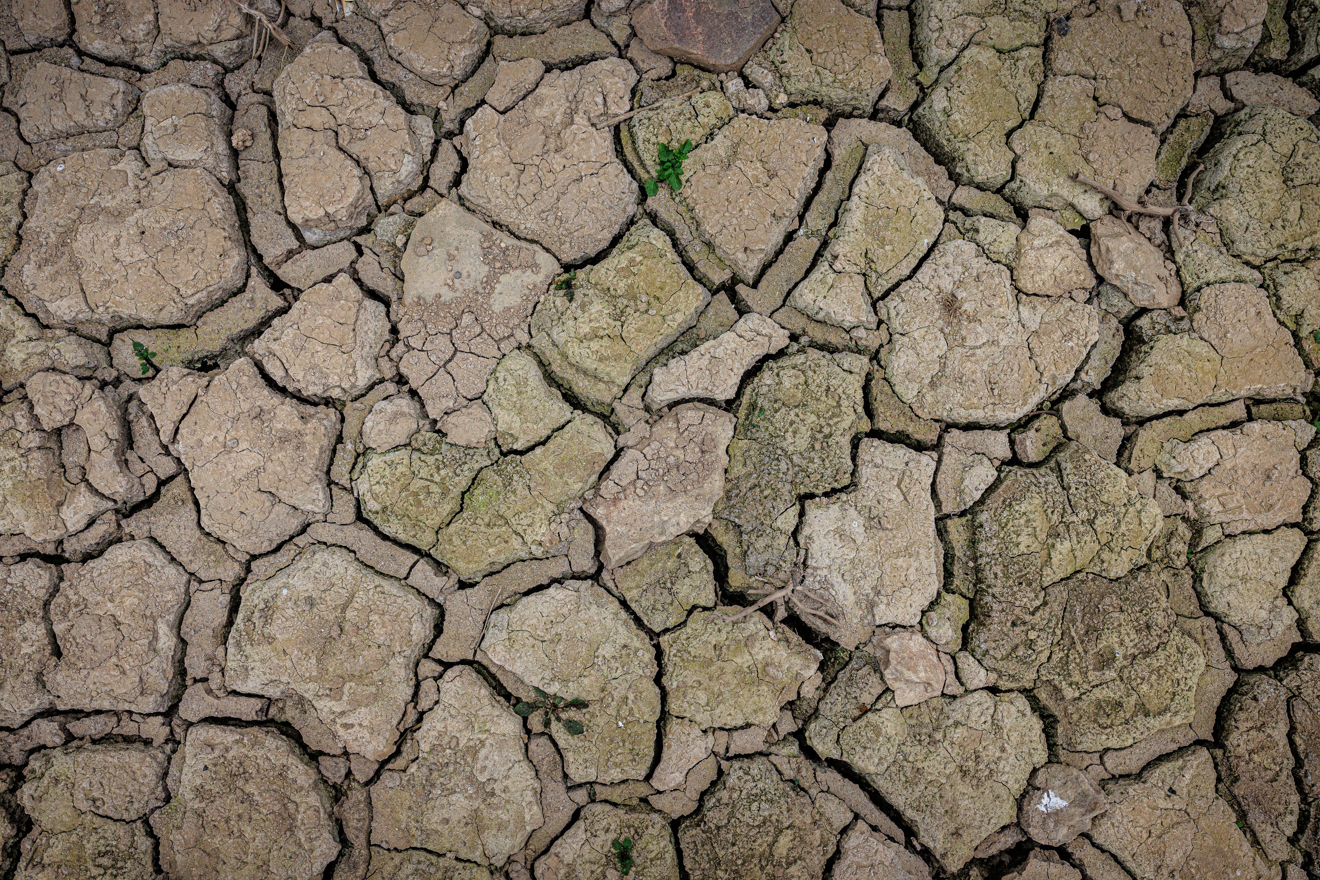 Las lluvias de marzo garantizan algunas semanas de suministro pero la situación sigue siendo mala Las lluvias de marzo garantizan algunas semanas de suministro pero la situación sigue siendo mala