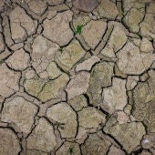 Catalunya se prepara para la emergencia por sequía