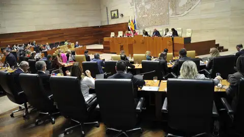Desarrollo rural, Agenda 2030 o las ayudas por la enfermedad hemorrágica epizoótica centrarán el pleno de la Asamblea de este jueves Desarrollo rural, Agenda 2030 o las ayudas por la enfermedad hemorrágica epizoótica centrarán el pleno de la Asamblea de este jueves