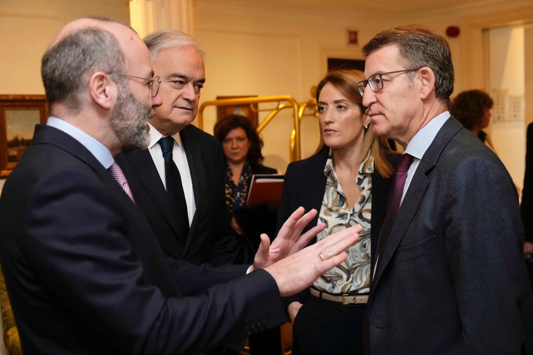 Quiénes son el Grupo del Partido Popular Europeo en las elecciones europeas: del PP a Forza Italia Quiénes son el Grupo del Partido Popular Europeo en las elecciones europeas: del PP a Forza Italia