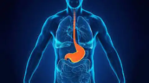 acidez de estomago acidez de estomago