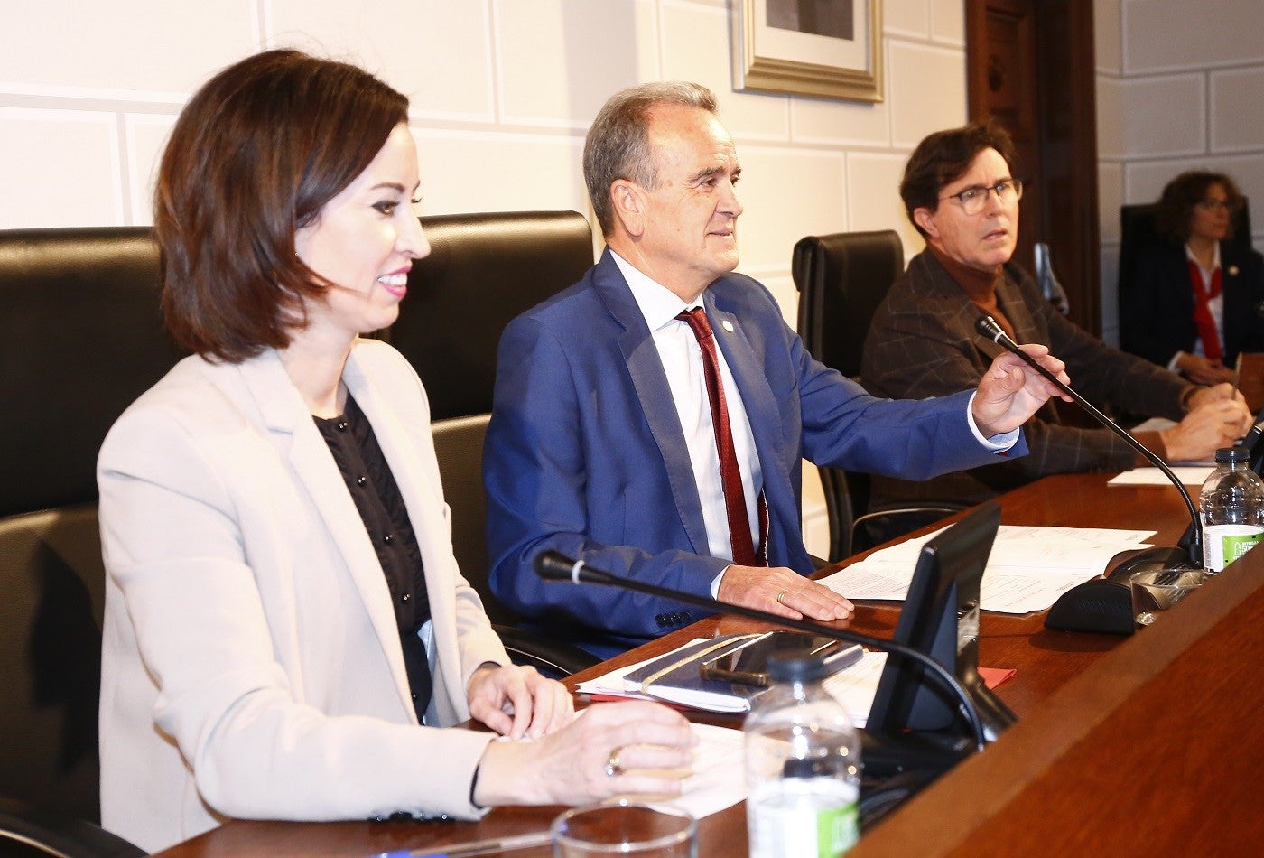 La Diputación de Zaragoza subvencionará plantas solares de autoconsumo La Diputación de Zaragoza subvencionará plantas solares de autoconsumo