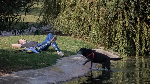 Una persona descansa al sol en el parque del antiguo cauce del río Túria Tiempo estable y cielos poco nubosos para este fin de semana