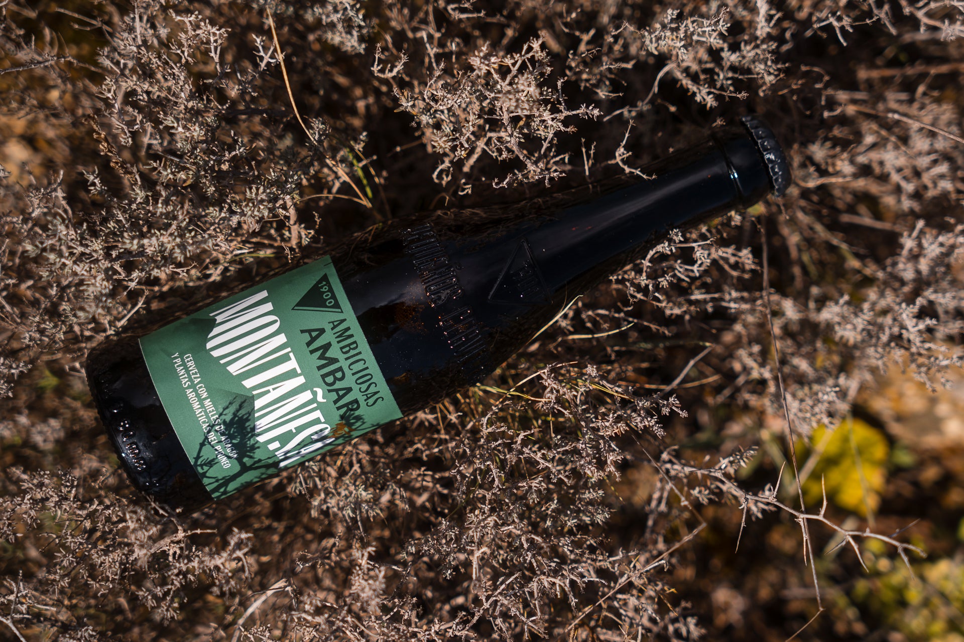 AMBAR lanza Montañesa, una cerveza inspirada en la naturaleza AMBAR lanza Montañesa, una cerveza inspirada en la naturaleza