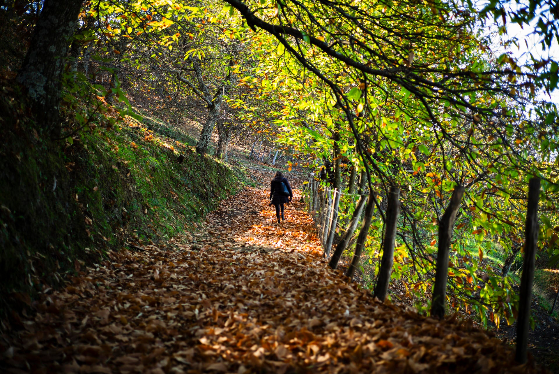 Brasero vaticina el tiempo que hará en lo que queda de año: "Heladas y sol" Brasero vaticina el tiempo que hará en lo que queda de año: "Heladas y sol"