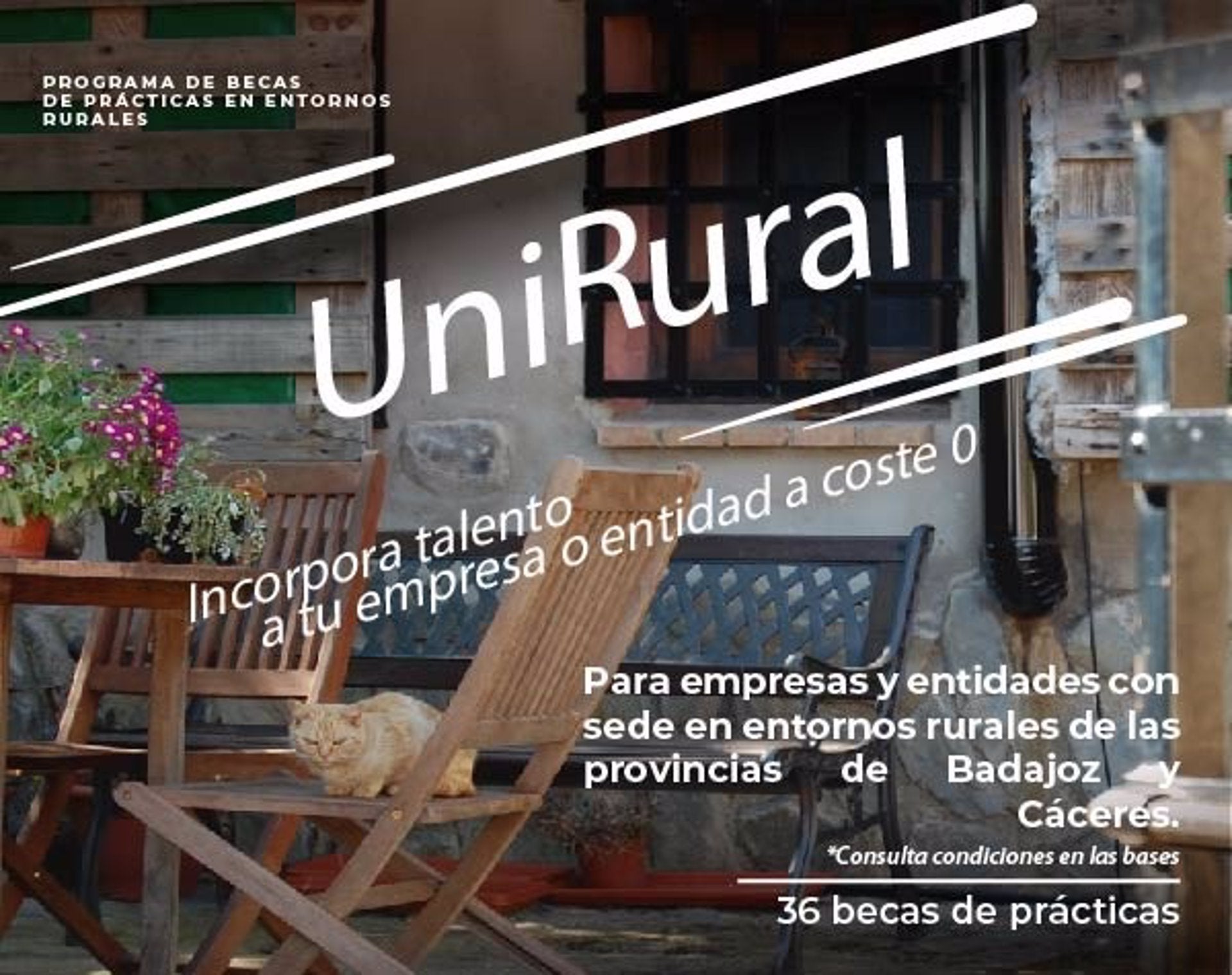 Las diputaciones provinciales y la Universidad de Extremadura impulsan la incorporación de titulados a empresas del medio rural Las diputaciones provinciales y la Universidad de Extremadura impulsan la incorporación de titulados a empresas del medio rural