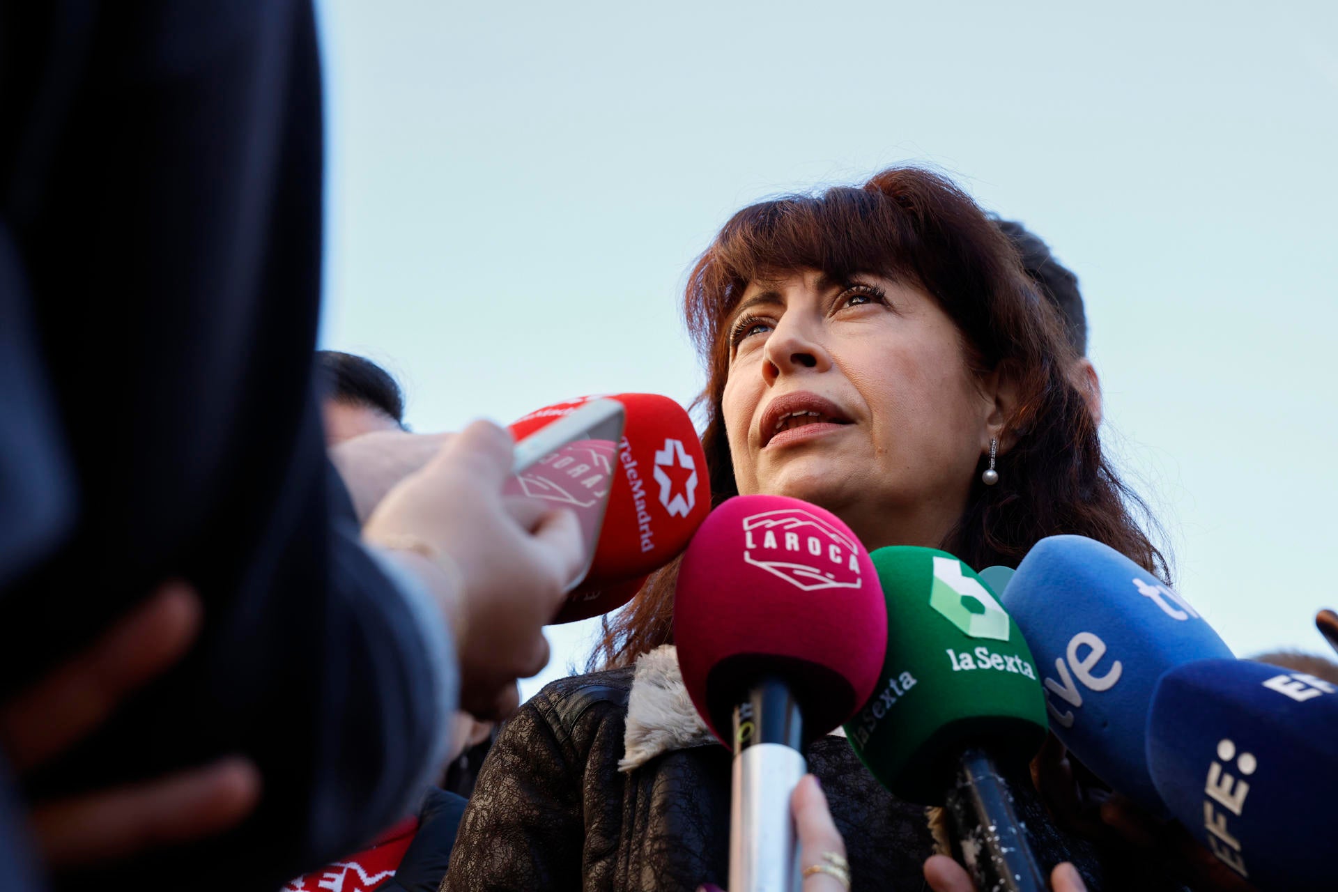 Igualdad acusa a Madrid de recortar derechos LGTBI "con alevosía" Igualdad acusa a Madrid de recortar derechos LGTBI "con alevosía"