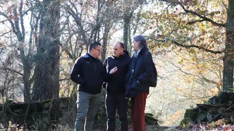 A Xunta fomenta a recuperación e conservación dos soutos tradicionais A Xunta fomenta a recuperación e conservación dos soutos tradicionais