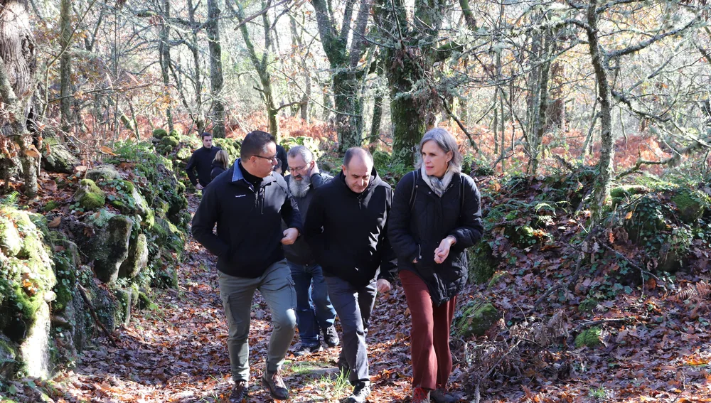 A Xunta fomenta a recuperación e conservación dos soutos tradicionais A Xunta fomenta a recuperación e conservación dos soutos tradicionais