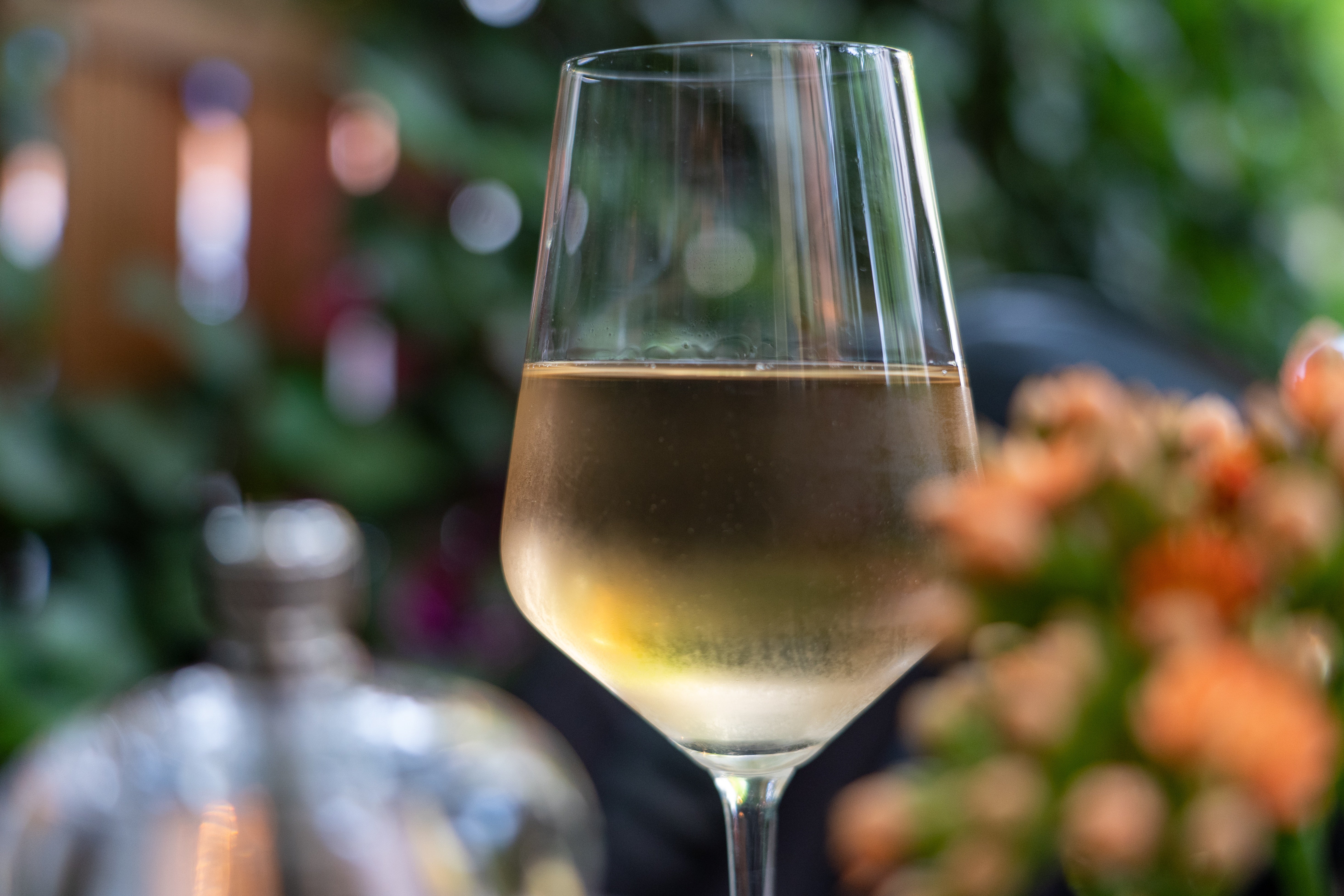 Barcelona llena los hoteles de lujo de buen vino Barcelona llena los hoteles de lujo de buen vino