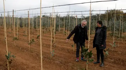 La directora del departament d'Agricultura i Ramaderia, Elisenda Guillaumes, i el propietari de Vivers Planes de Púbol, Joaquim Planas, després de la roda de premsa d'aquest matí La directora del departament d'Agricultura i Ramaderia, Elisenda Guillaumes, i el propietari de Vivers Planes de Púbol, Joaquim Planas, després de la roda de premsa d'aquest matí