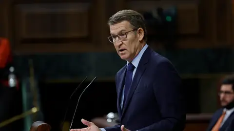 Alberto Núñez Feijóo, líder del PP, durante su comparecencia en el Congreso Alberto Núñez Feijóo, líder del PP, durante su comparecencia en el Congreso/ EFE/Chema Moya