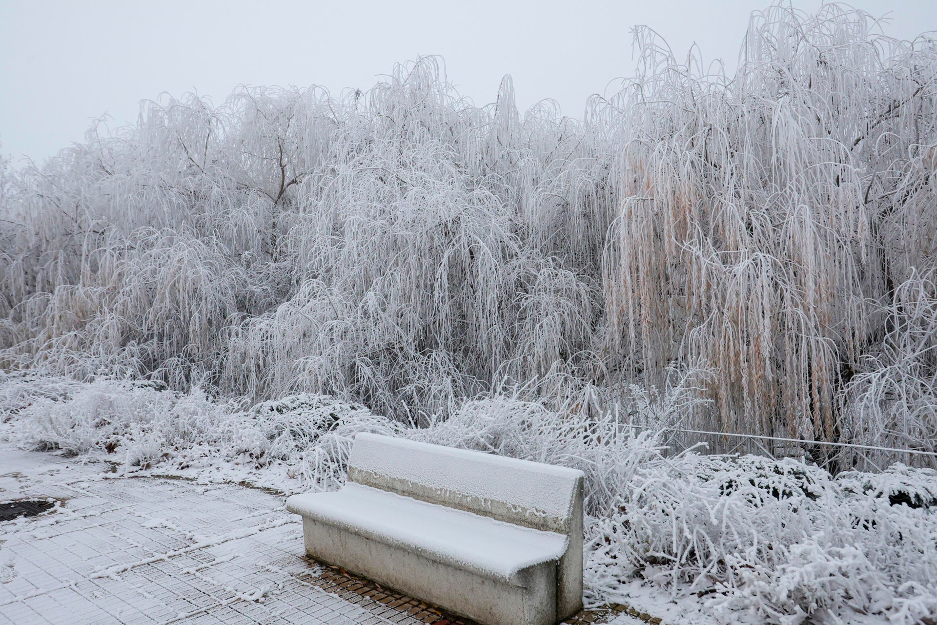 El frío, el viento y el oleaje ponen en riesgo a nueve comunidades con temperaturas de hasta -6 grados El frío, el viento y el oleaje ponen en riesgo a nueve comunidades con temperaturas de hasta -6 grados