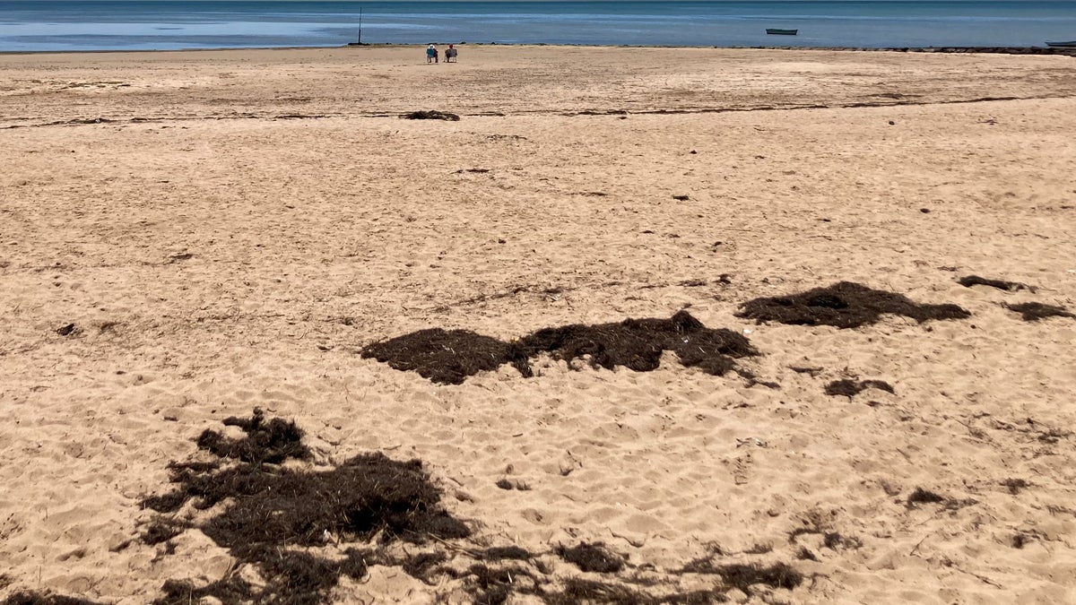 Concedida a GEN Puerto Real una ayuda de 8.000 euros para el desarrollo del proyecto ‘Arribamat’. Concedida a GEN Puerto Real una ayuda de 8.000 euros para el desarrollo del proyecto ‘Arribamat’.