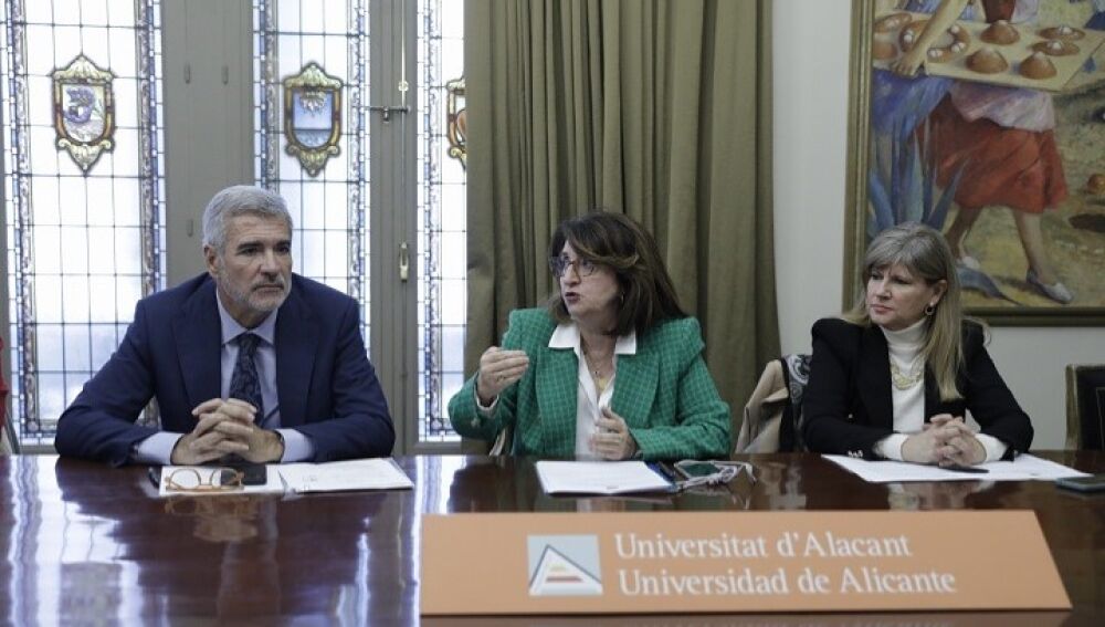 Reunión del Consejo Social de la UA 