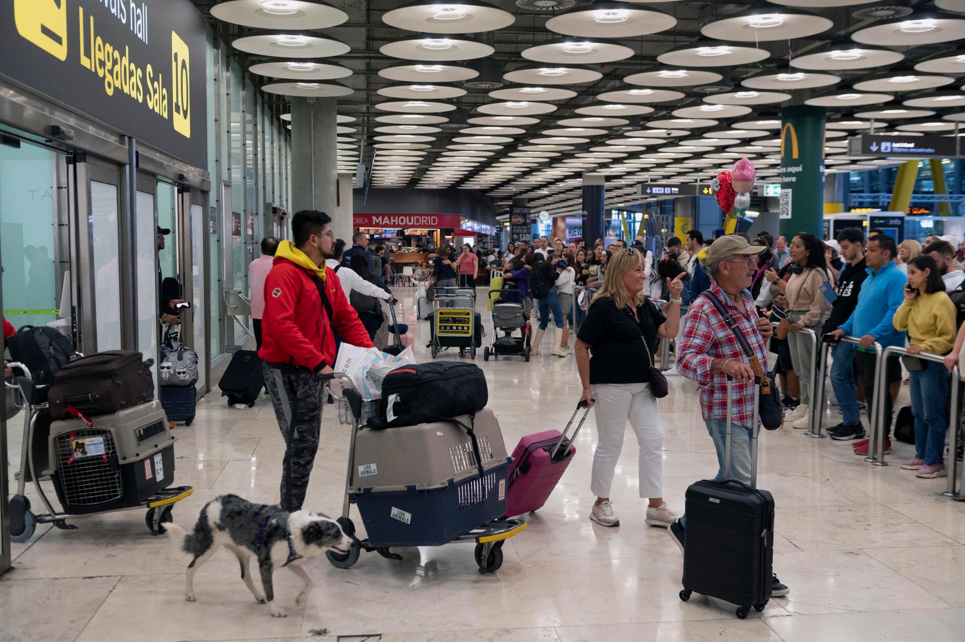 Los sindicatos anuncian una huelga en el 'handling' Iberia para los días 5 al 8 de enero Los sindicatos anuncian una huelga en el 'handling' Iberia para los días 5 al 8 de enero