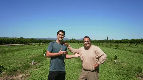 Campos del Abuelo. Eduardo Cifre Campos del Abuelo. Eduardo Cifre