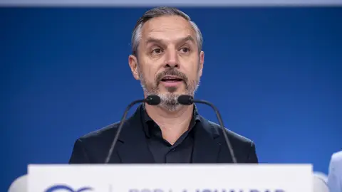 El vicesecretario de Economía del PP, Juan Bravo El vicesecretario de Economía del PP, Juan Bravo/ A. Pérez Meca / Europa Press