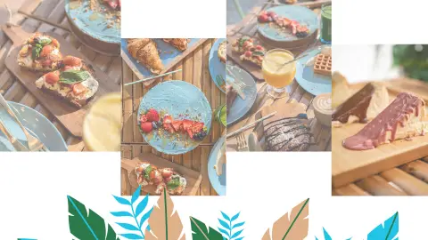 Rompiendo Cocos Rompiendo Cocos