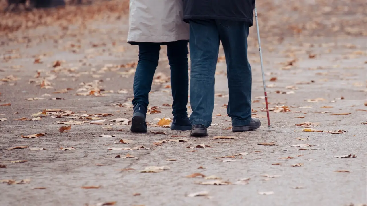 Dos personas ancianas caminando por un parque, Dos personas ancianas caminando por un parque,