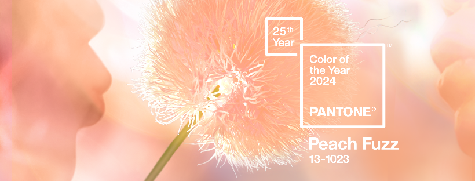 Cálido y acogedor, así es el “Peach fuzz” escogido por Pantone como color de 2024 Cálido y acogedor, así es el “Peach fuzz” escogido por Pantone como color de 2024