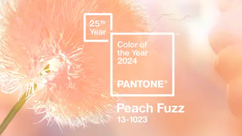 Cálido y acogedor, así es el “Peach fuzz” escogido por Pantone como color de 2024 Un alto en el camino