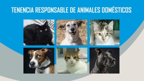 Cartel que muestra im&aacute;genes de perros y gatos del Centro Municipal de Protecci&oacute;n Animal de Alcal&aacute; de Henares