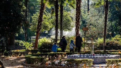 Temperaturas casi primaverales en distintos puntos de España para despedir el 2023 Temperaturas casi primaverales en distintos puntos de España para despedir el 2023