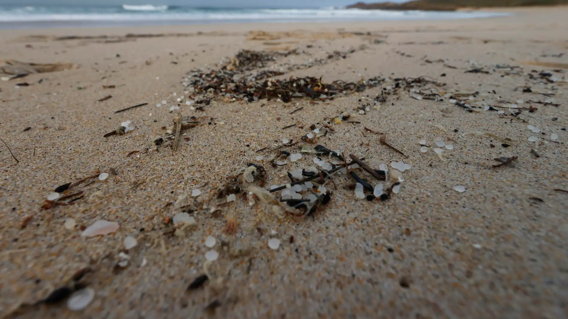 Imagen de micro plásticos que llegan a la playa de Doniños en Ferrol.