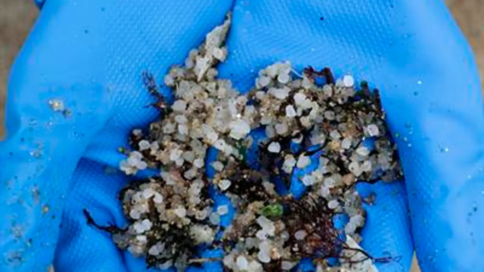 ¿Qué son los pellets de plástico que contaminan las playas gallegas y asturianas?