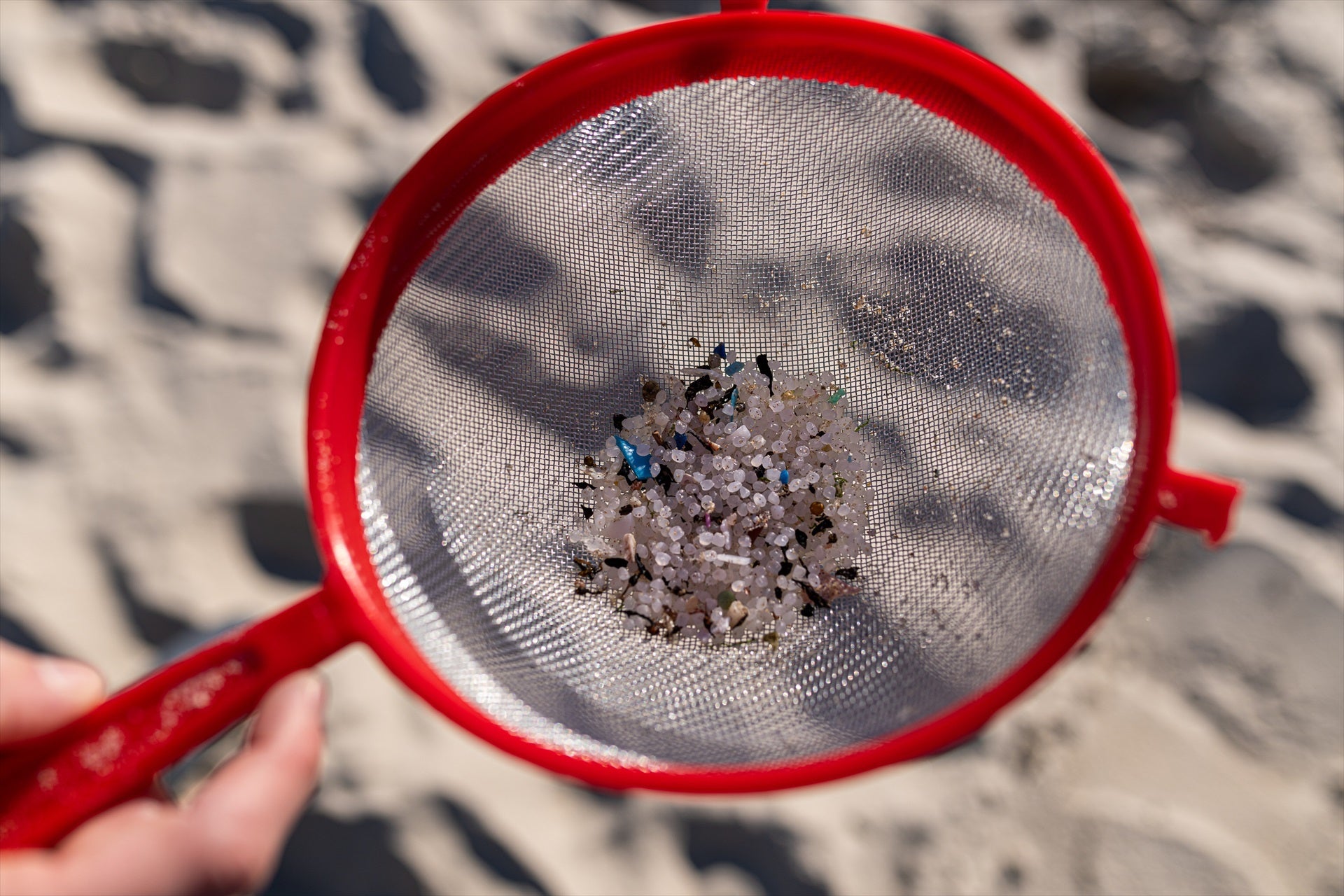 Por qué los 'pellets' de plástico son tan peligrosos para el medio ambiente Por qué los 'pellets' de plástico son tan peligrosos para el medio ambiente
