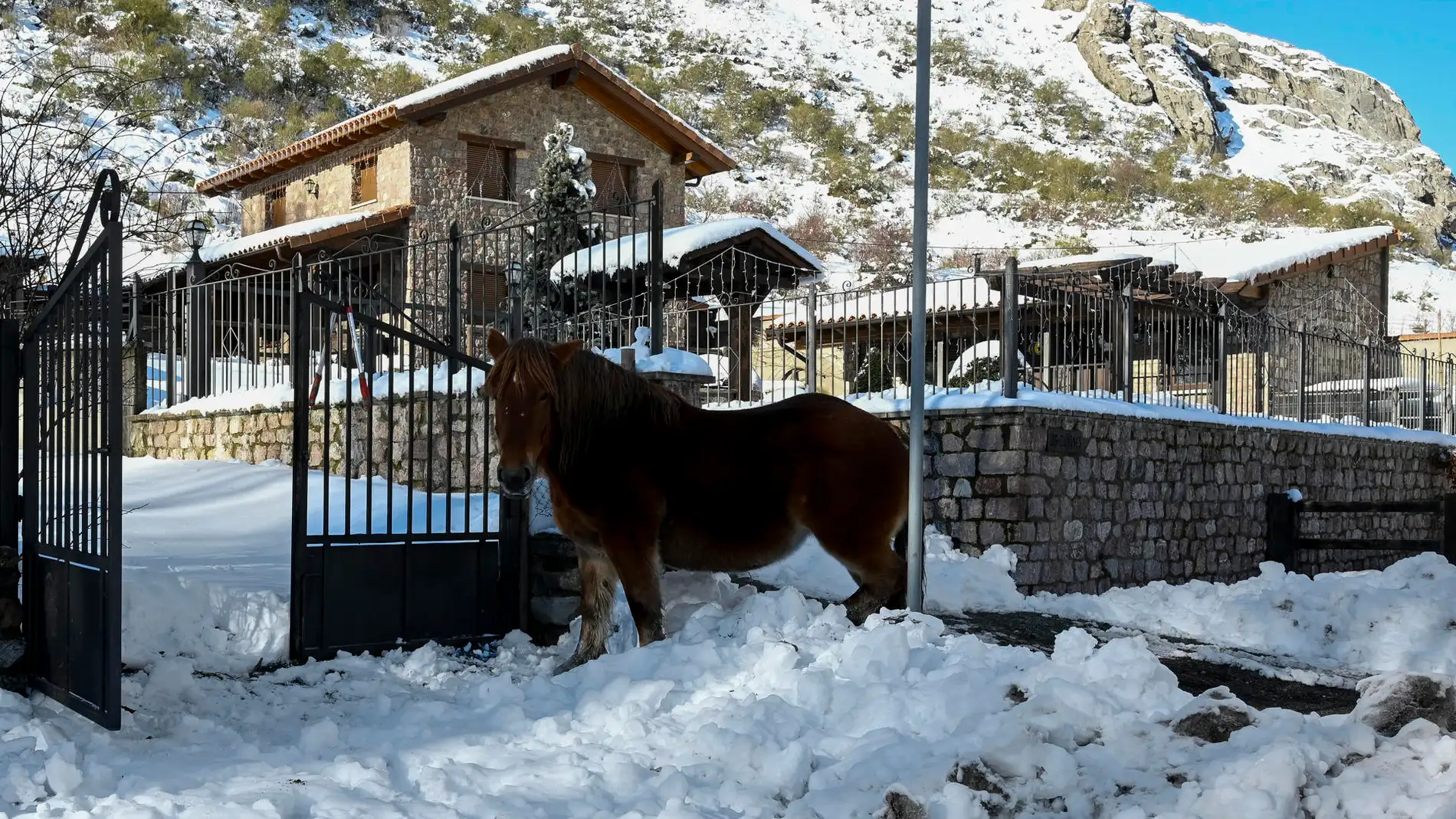 Un caballo es visto en una zona en Cerulleda, León.