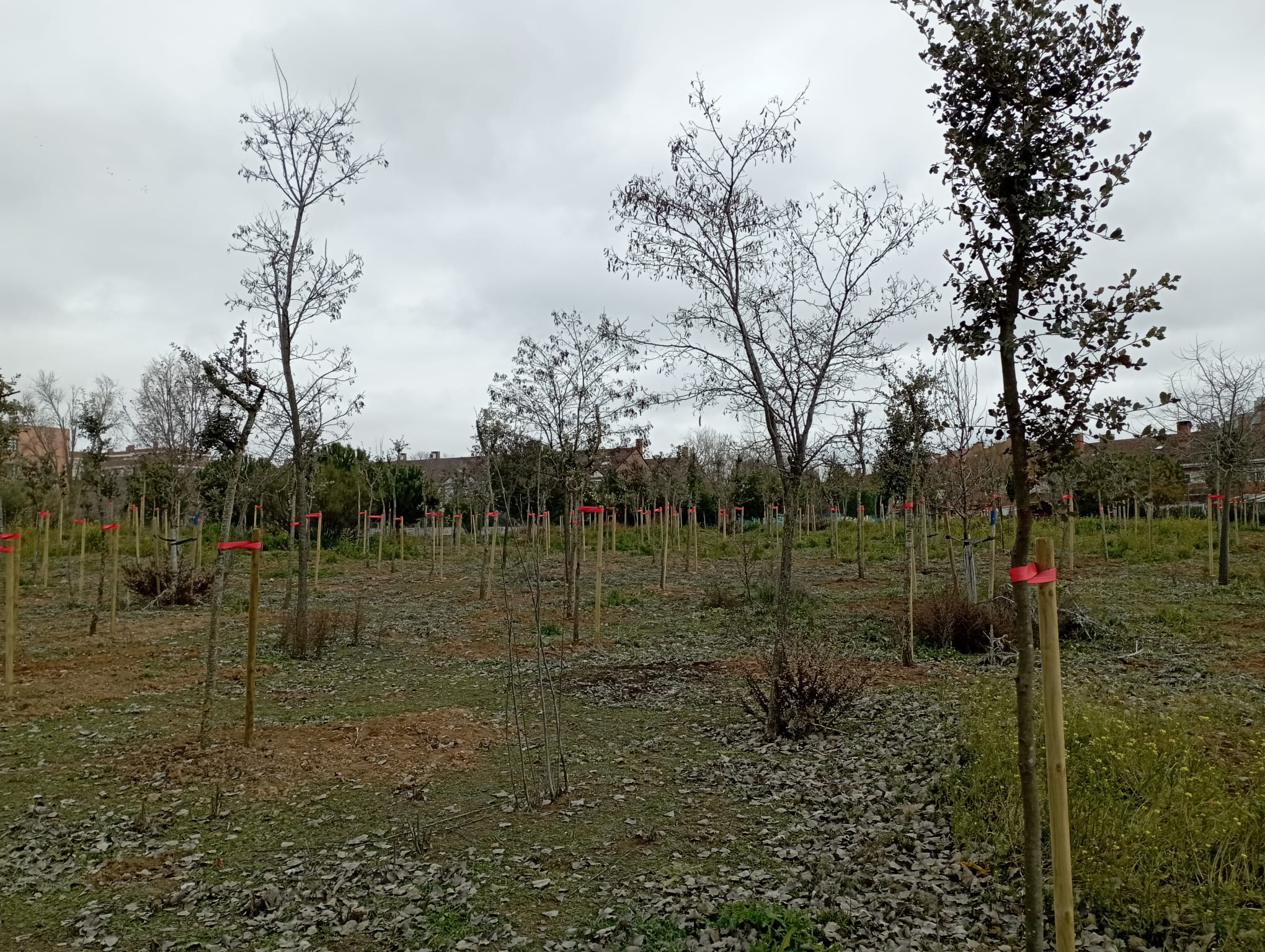 Más de uno Alcalá 09/01/2023 Más de uno Alcalá 09/01/2023