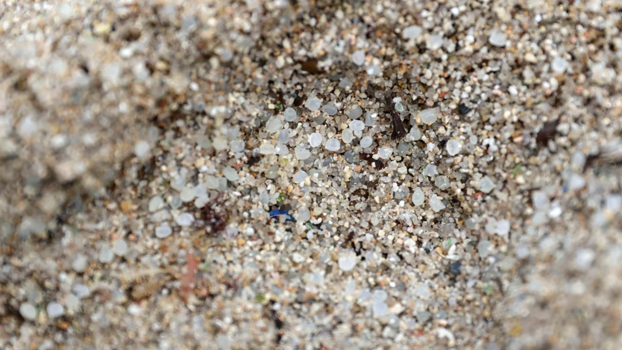 Fotografía de ayer de pellets, que han aparecido en las costas gallegas y asturianas