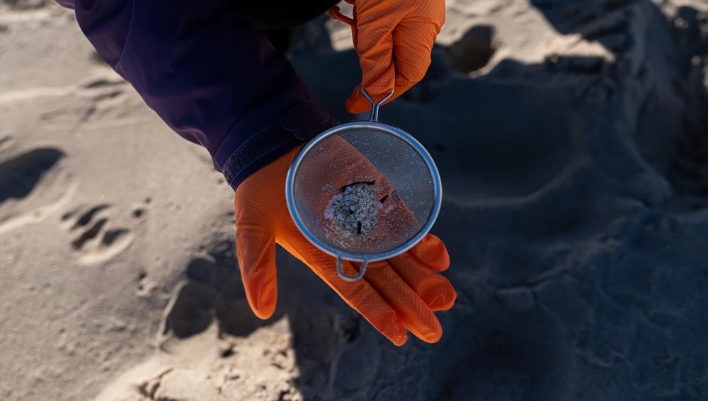 Voluntarios hacen una recogida de pellets de la arena, Galicia, a 7 de enero de 2024, en A Coruña, Galicia