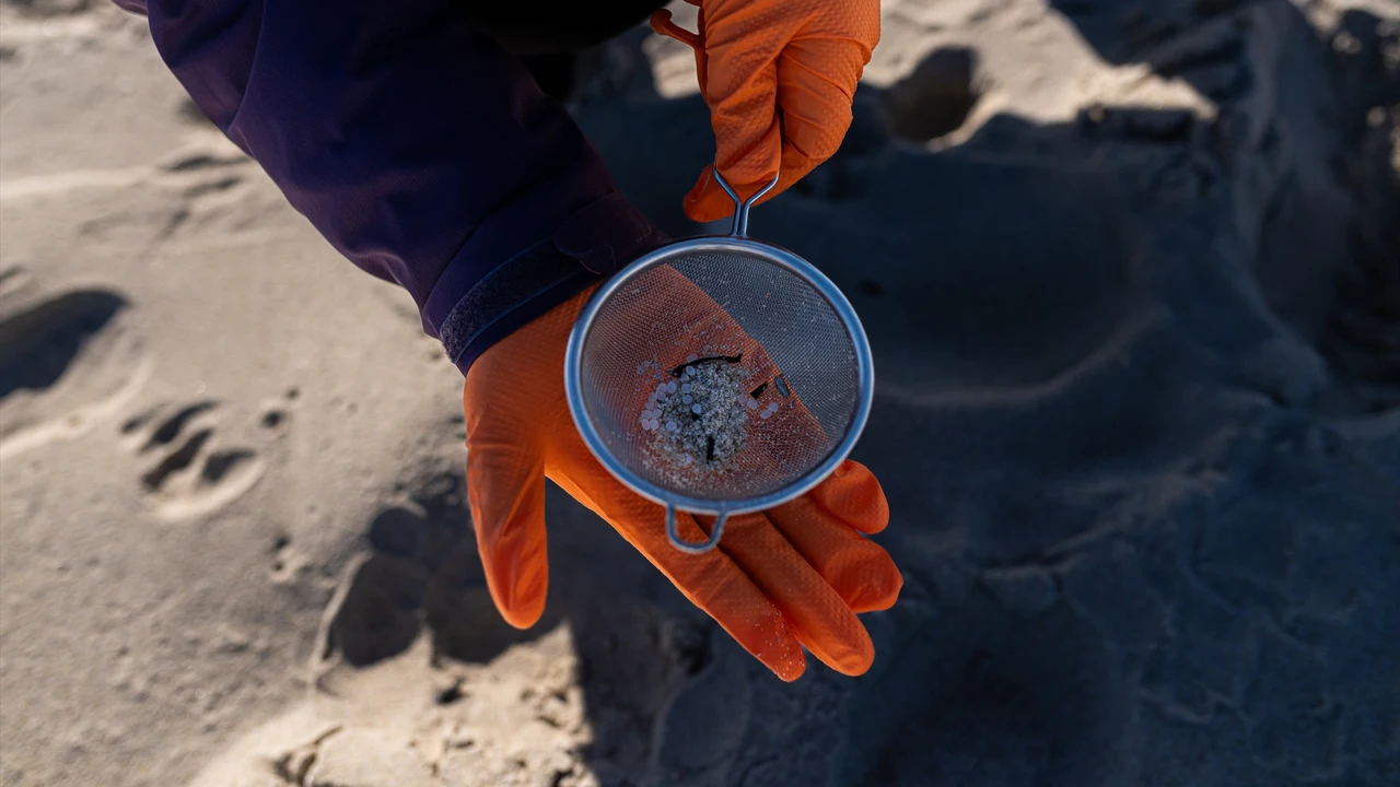 Voluntarios hacen una recogida de pellets de la arena, Galicia, a 7 de enero de 2024, en A Coruña, Galicia