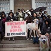 Activistas animalistas en Seul durante la aprobación de la ley que prohíbe el comercio de carne de perro en Corea del Sur.