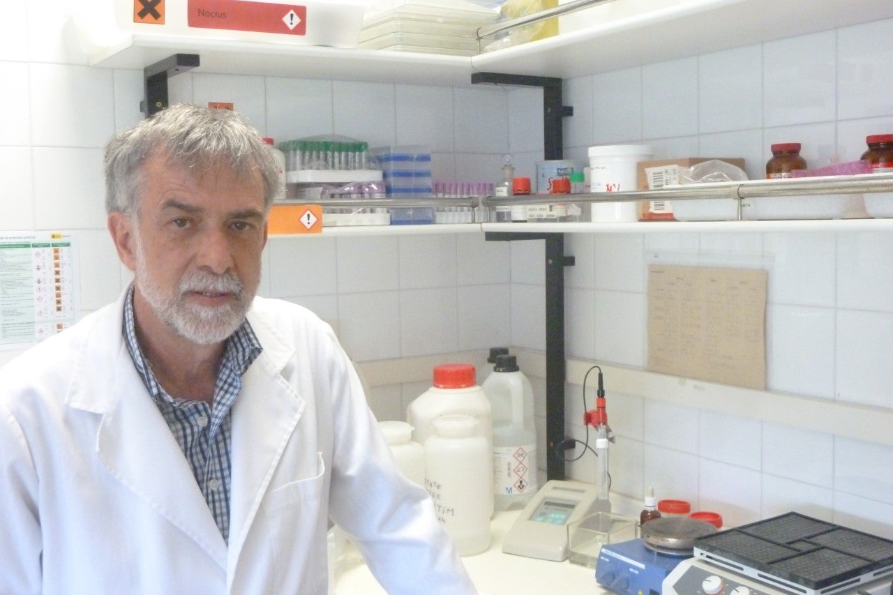 Por qué el cerebro olvida las memorias infantiles Por qué el cerebro olvida las memorias infantiles