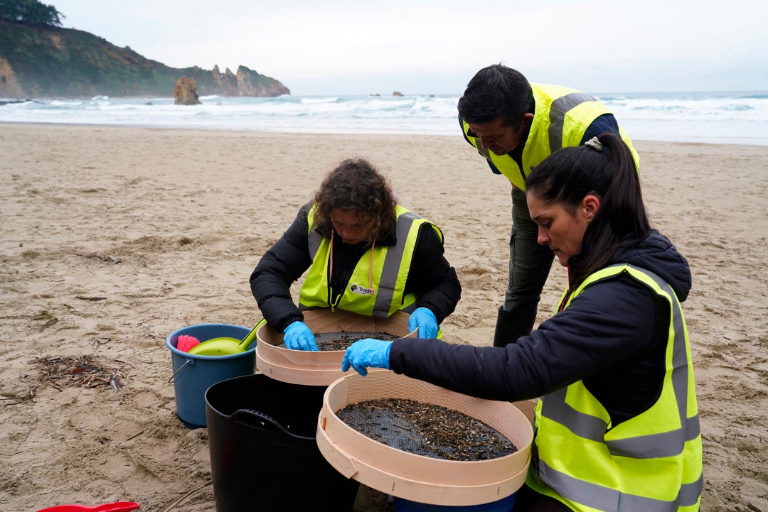 300 voluntarios trabajaron el fin de semana en Asturias para retirar bolinas de las playas 300 voluntarios trabajaron el fin de semana en Asturias para retirar bolinas de las playas