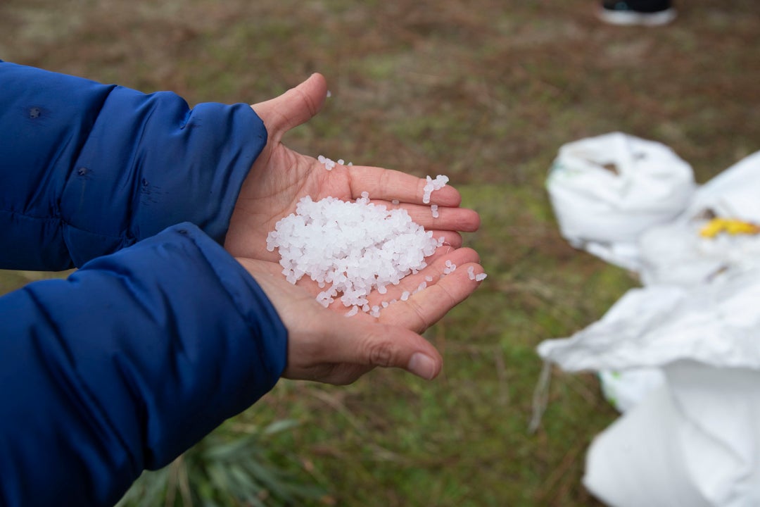 De dónde salen los pellets de Galicia: ¿suponen un riesgo para la salud? De dónde salen los pellets de Galicia: ¿suponen un riesgo para la salud?