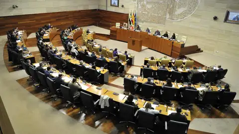 Mascarillas, Memoria Histórica, Protección Animal, IMV o los fondos europeos a debate en el primer pleno del 2024 Mascarillas, Memoria Histórica, Protección Animal, IMV o los fondos europeos a debate en el primer pleno del 2024