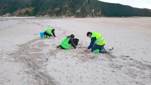 Las brigadas de limpieza ya retirar los pellets de las playas asturianas Las brigadas de limpieza ya retirar los pellets de las playas asturianas