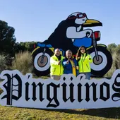Pingüinos camino a la fiesta de interés turístico nacional Pingüinos camino a la fiesta de interés turístico nacional