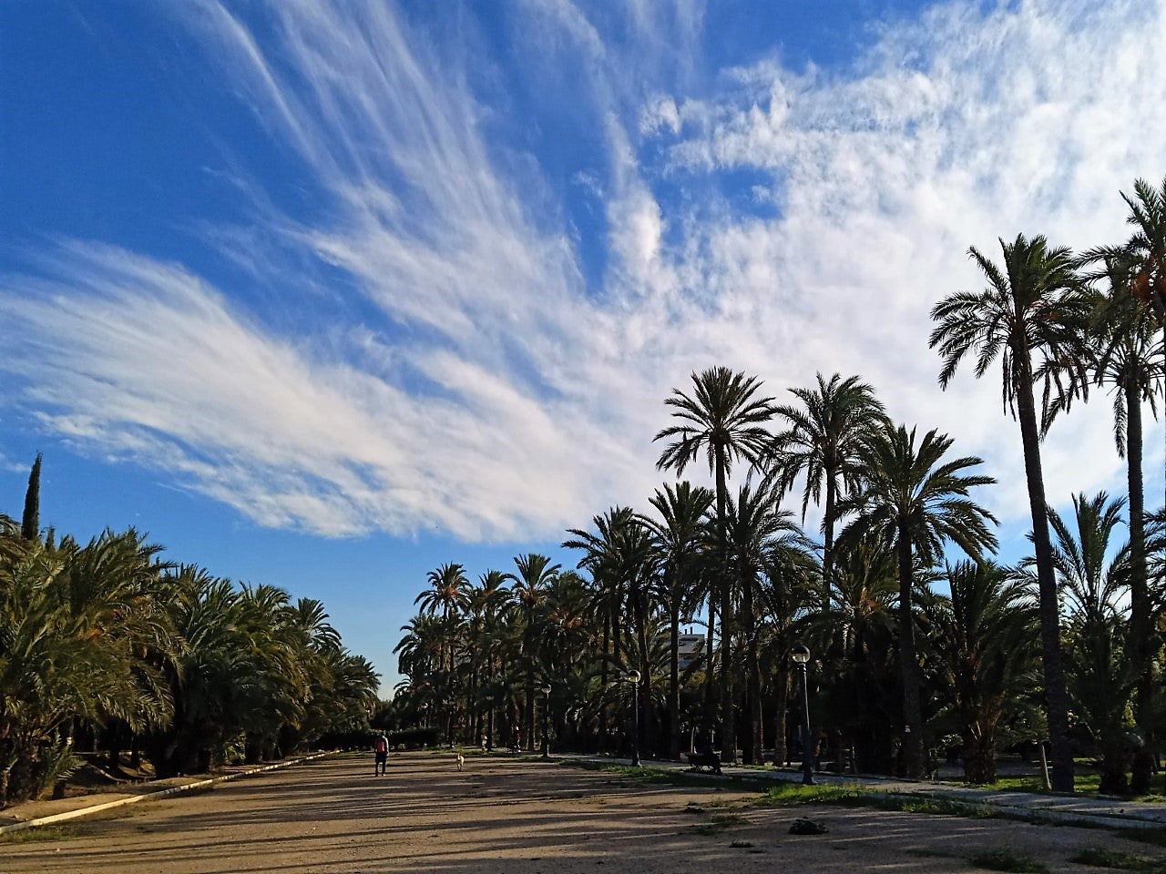 La semana comienza con nubes y riesgo de lluvia, pero este martes vuelve el sol a Elche, Crevillent y Santa Pola La semana comienza con nubes y riesgo de lluvia, pero este martes vuelve el sol a Elche, Crevillent y Santa Pola