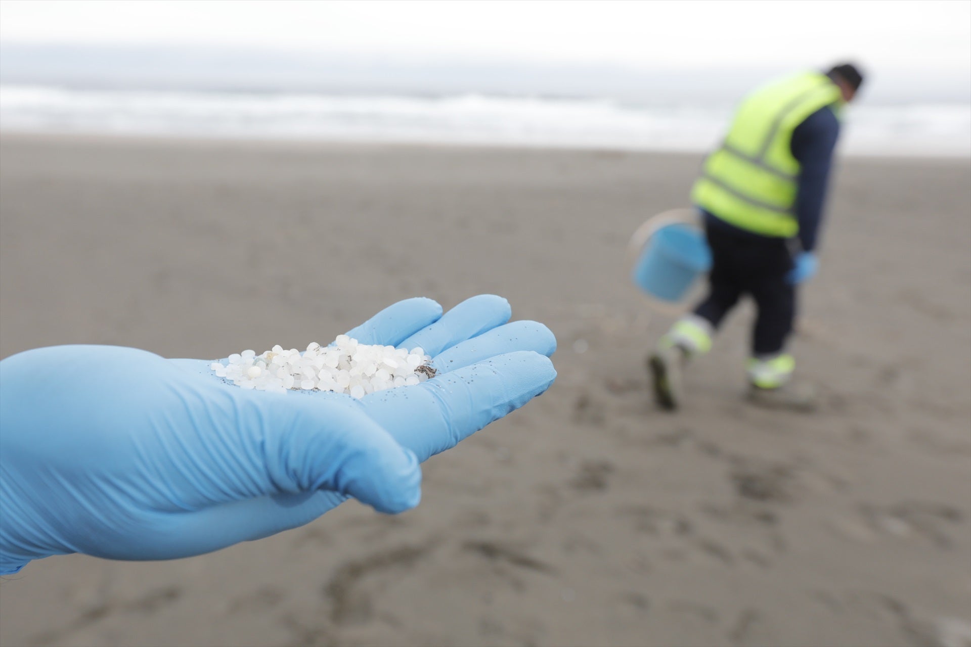 Por qué los pellets son un riesgo importante: su impacto para el medio ambiente y la salud Por qué los pellets son un riesgo importante: su impacto para el medio ambiente y la salud