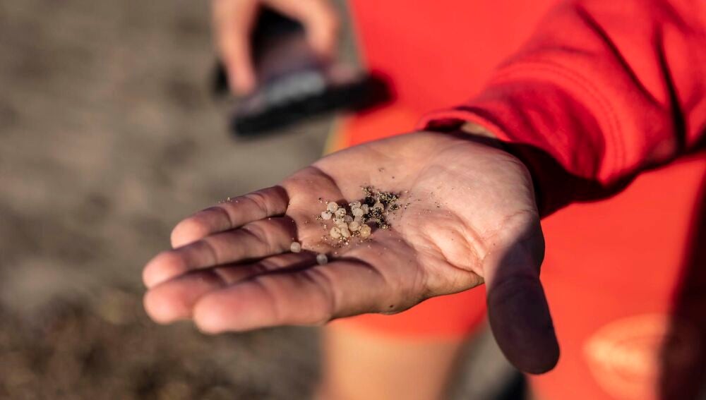 el socorrista de las piscinas y playa de Bajamar recoge partículas de plástico que arrastró la marea a los largo del día.
