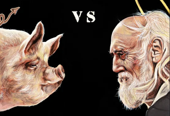 Celebración de Sant Antoni en la Comunitat Valenciana Celebración de Sant Antoni en la Comunitat Valenciana