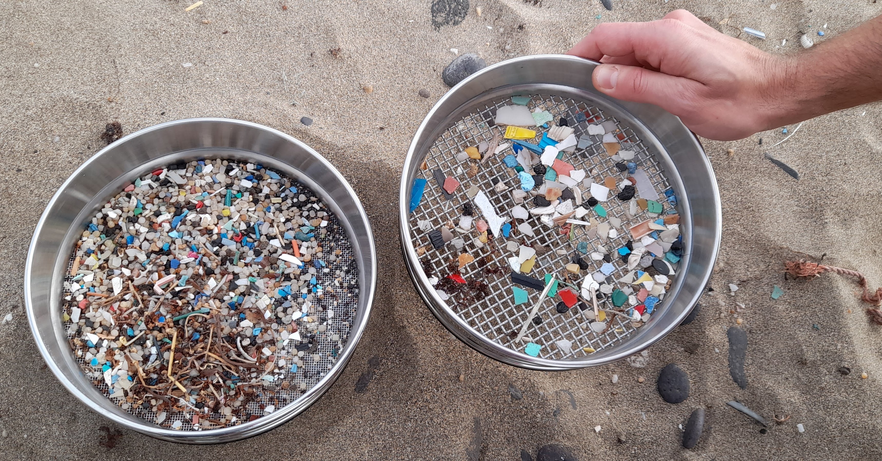 Plásticos en los mares: la gran amenaza Plásticos en los mares: la gran amenaza